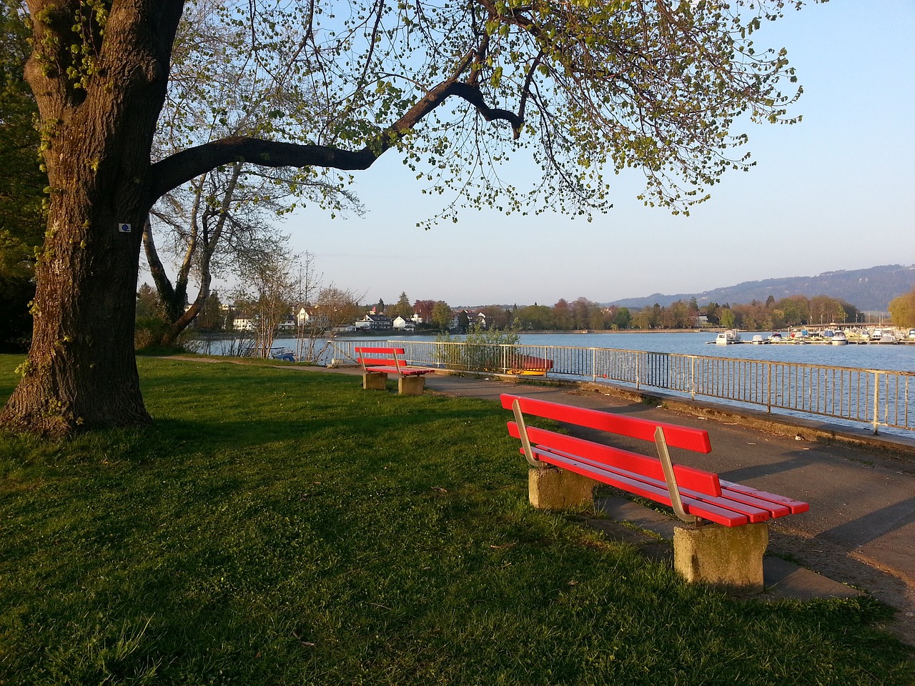 但这并不意 但这并不意