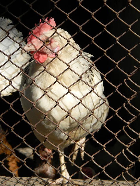 们对于裁判 们对于裁判